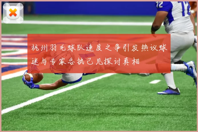 杭州羽毛球队速度之争引发热议球迷与专家各执己见探讨真相