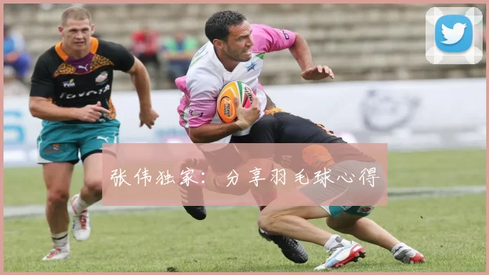 张伟独家：分享羽毛球心得