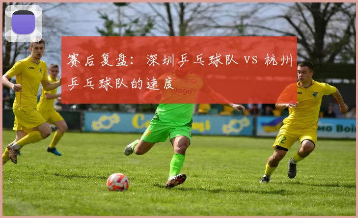 赛后复盘：深圳乒乓球队 vs 杭州乒乓球队的速度