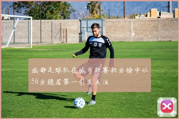 成都足球队在城市联赛积分榜中以56分稳居第一引发关注